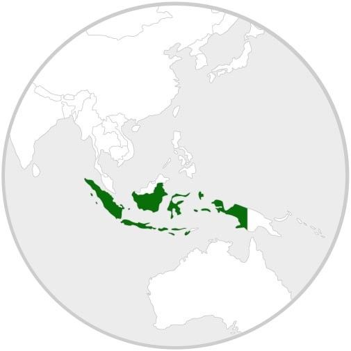 indonesia