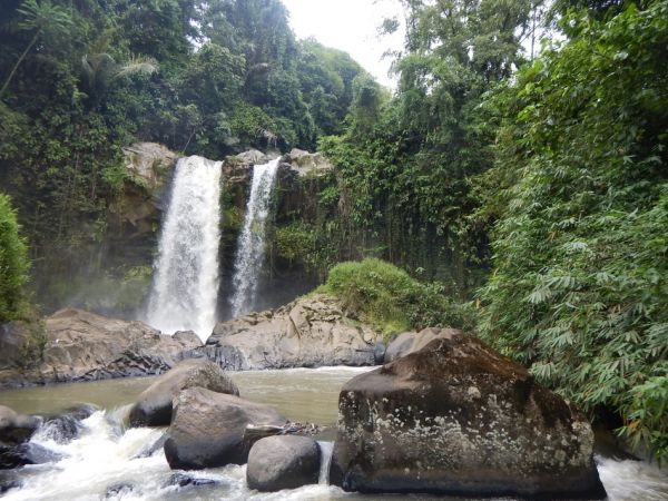 Sulawesi