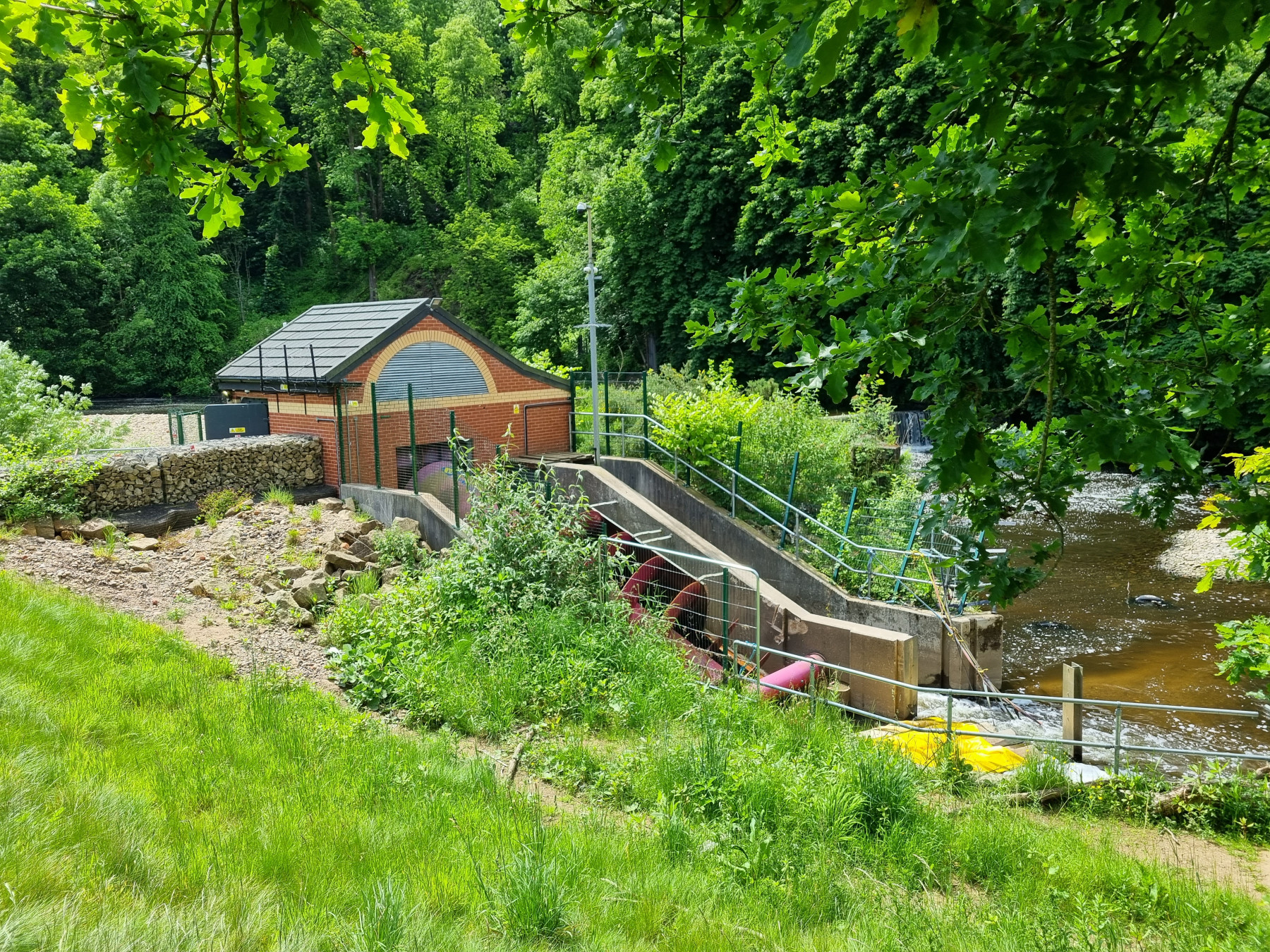 Stringer´s Weir